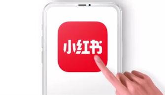 小红书的吃瓜视频,小红书热门话题背后的真相